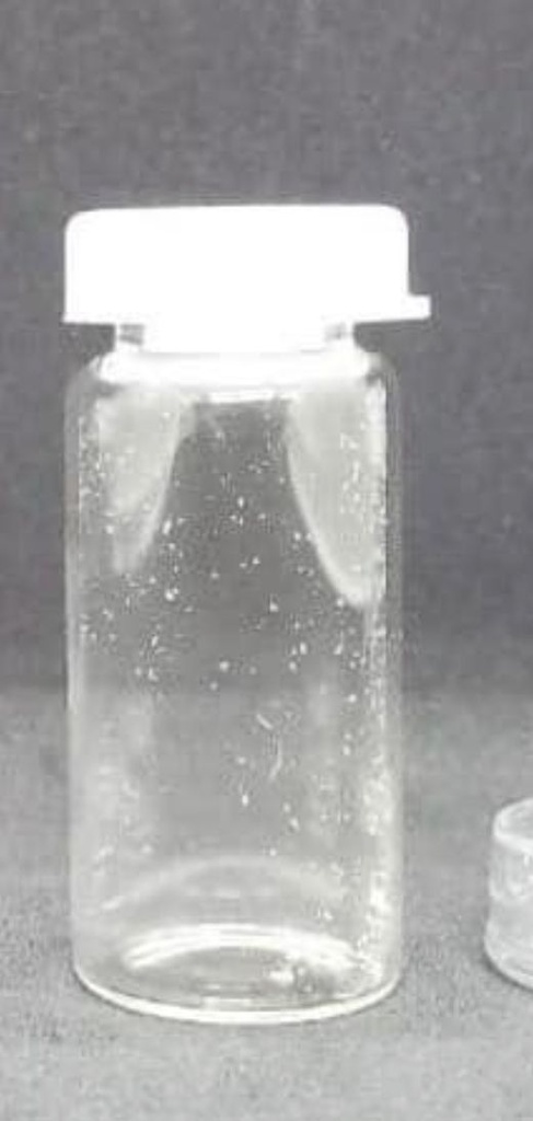 Glass Vial 10 Ml - Semi Transparent Cap